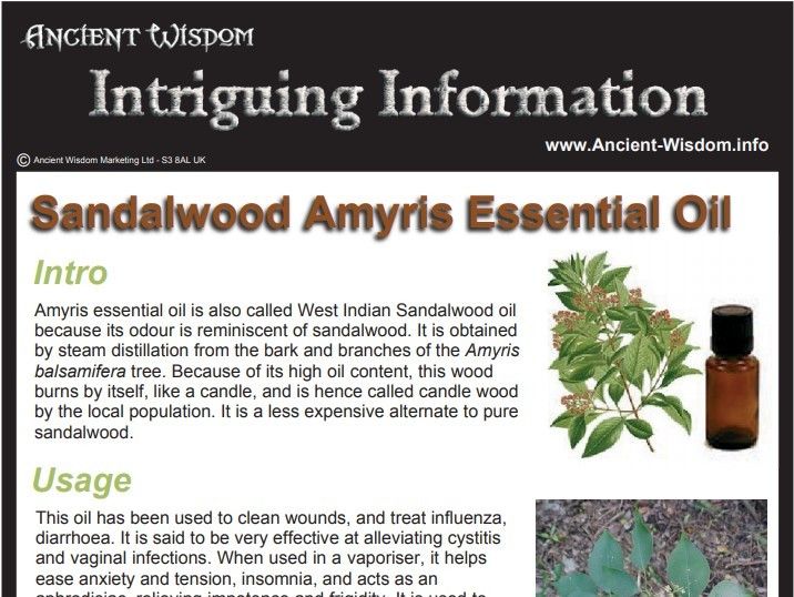 Sandalwood Amayris Essential Oil Info product image