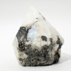 Gemstone Top Polished Points - Rainbow Moonstone (approx 5-6 pieces) product image 4