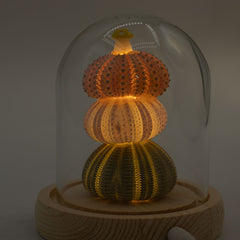 Floral Glow Garden Dome - 3 Sea Urchins - LED USB product image 7