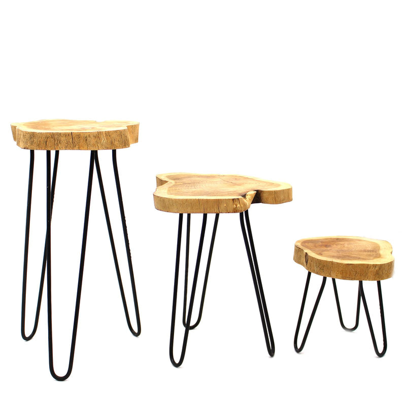 Set of 3 Gamal Wood Plant Stands - Natural product image
