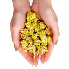 Everlasting Flowers (0.5KG) Botanicals & Floral Waters product image 3