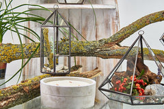Glass Terrarium - Large Octagon product image 5