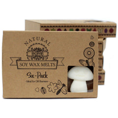 Box of 6 Wax Melts - White Musk product image 2