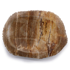 Petrified Wood Brown Soap Dish product image 2