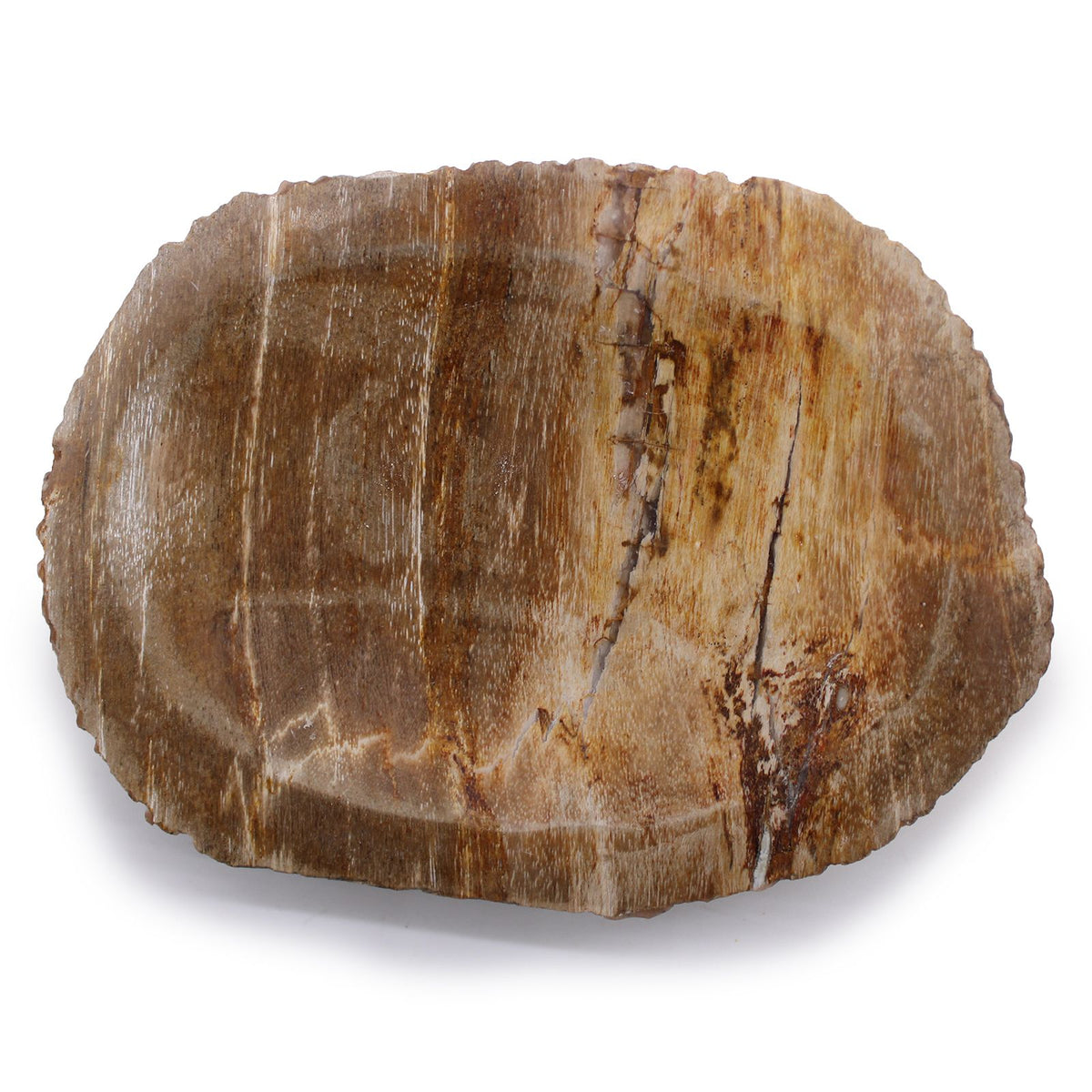 Petrified Wood Brown Soap Dish product image 2