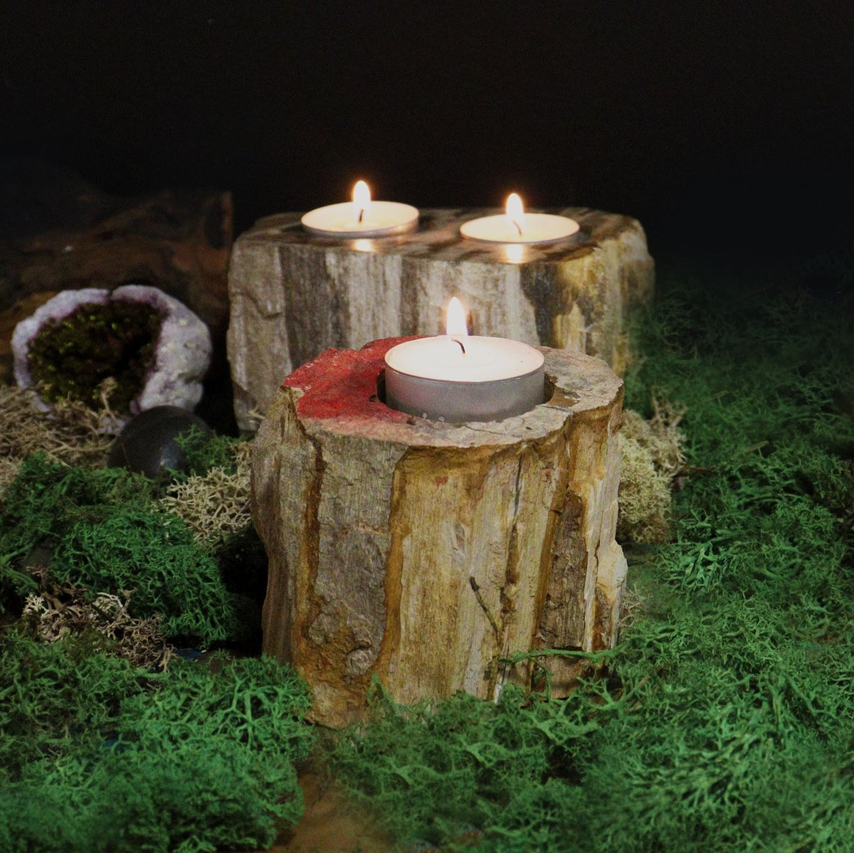 Petrified Wood Candle Holder - Single Tall product image 6