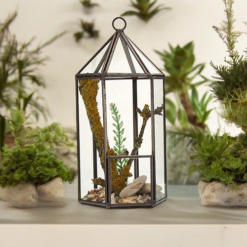 Glass Terrarium - Lantern Shape product image