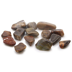 M Tumble Stone - Petrified Wood product image 2
