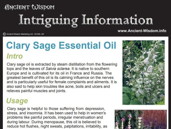 Clary Sage Essential Oil Info product image