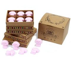 Box of 6 Wax Melts - Ylang Ylang product image 7