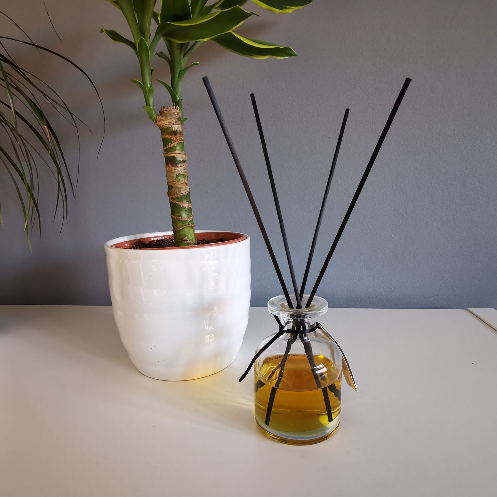 Fibre Black Reed Diffuser 25cm x 3mm product image