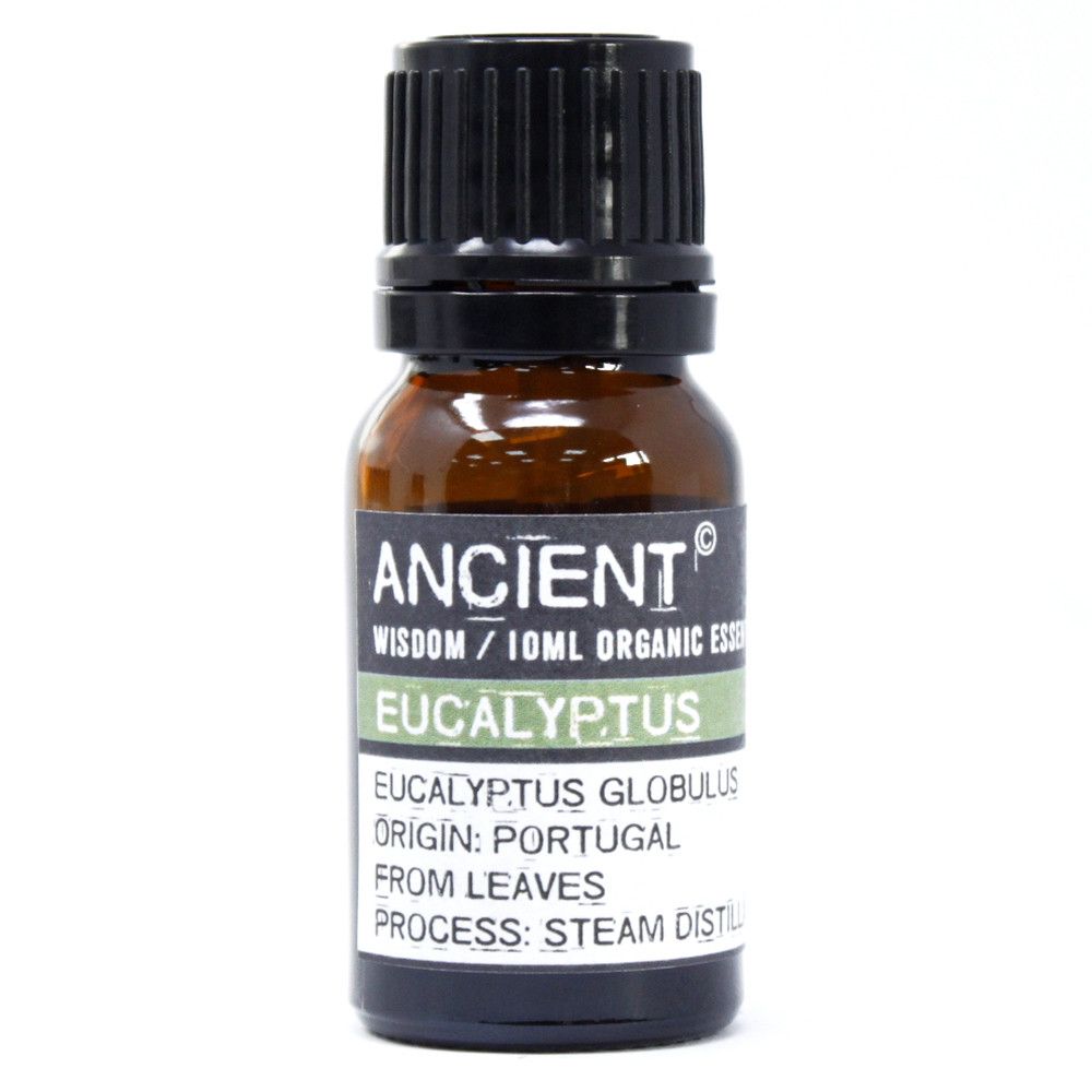 Eucalyptus Organic Essential Oil 10ml product image