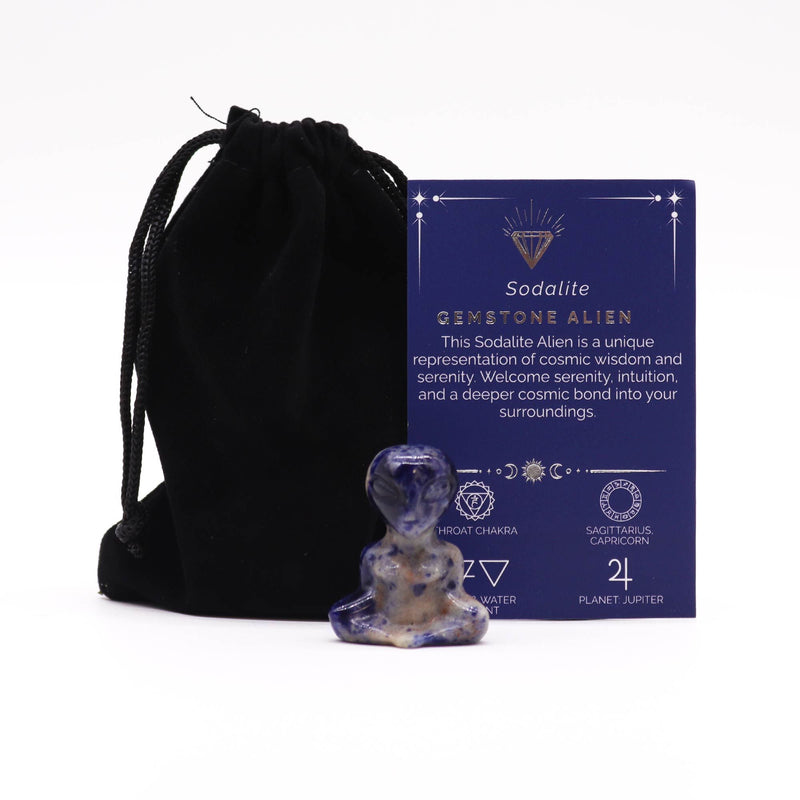 Gemstone Alien - Sodalite product image