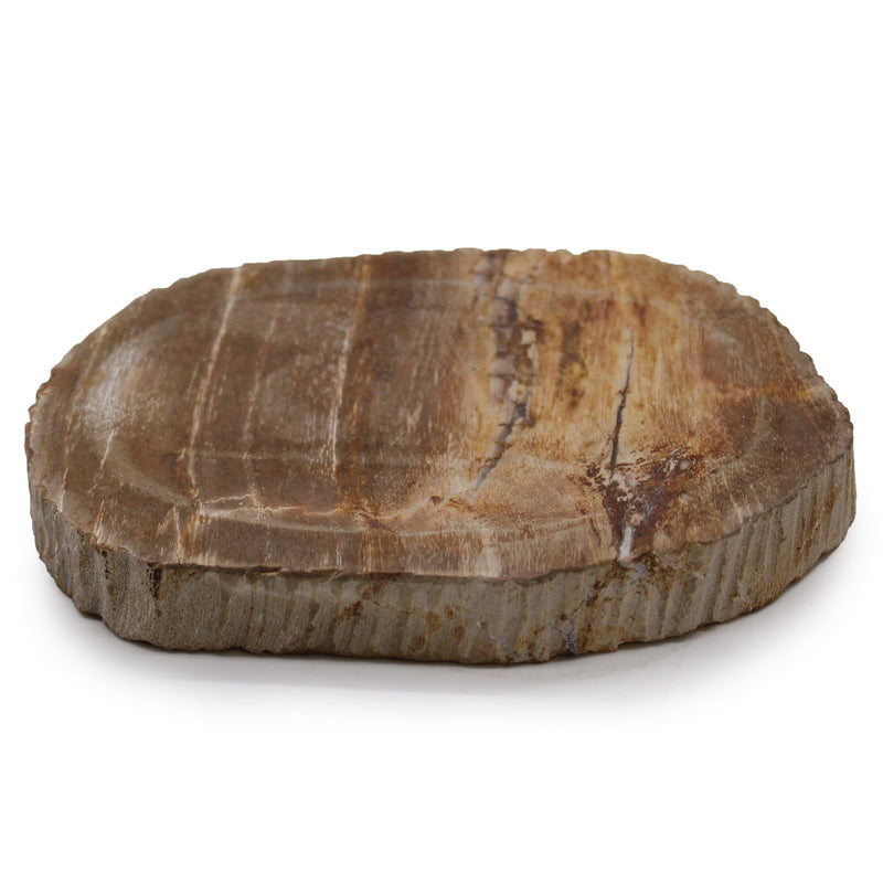 Petrified Wood Brown Soap Dish product image