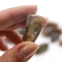 M Tumble Stone - Petrified Wood product image