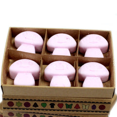 Box of 6 Wax Melts - Ylang Ylang product image 6