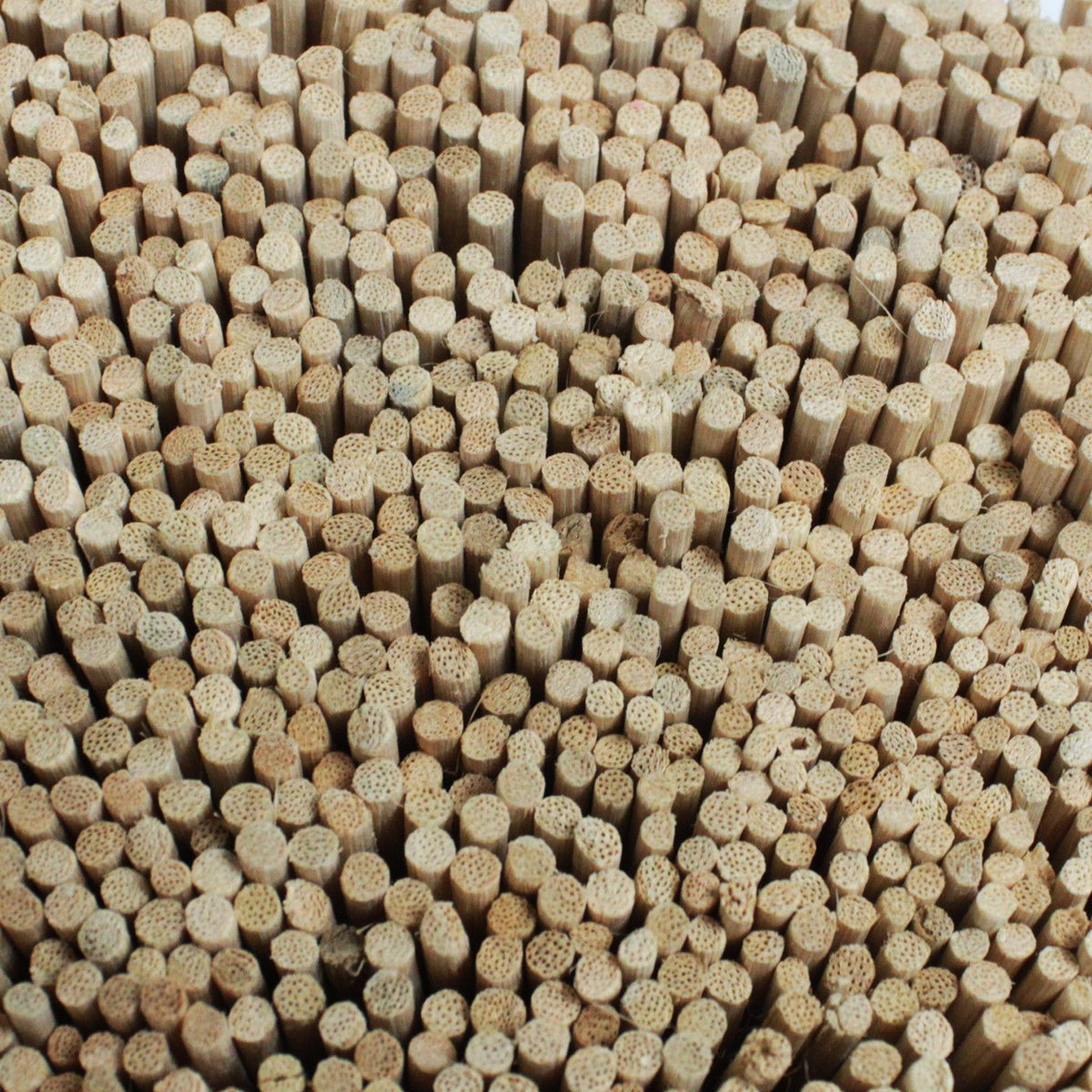 5kg of 2.5mm Reed Diffusers Approx 5000 product image 2