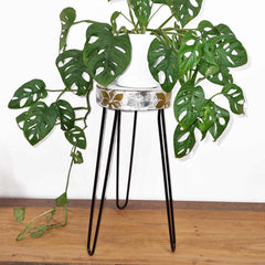 Albasia Wood Plant Stand - Whitewash product image 5