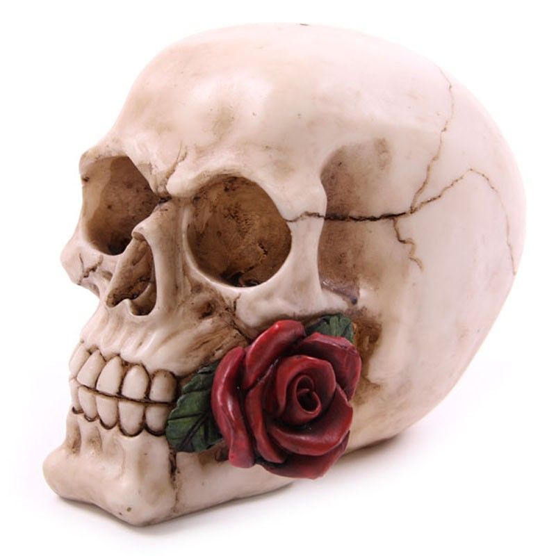 Skull with Roses - Random Design product image 3
