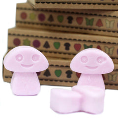 Box of 6 Wax Melts - Ylang Ylang product image 5