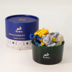 Hop Hare Diffusing Crystals & Floral Set - The Sun product image 8