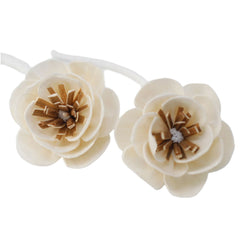 Natural Diffuser Flowers - Small Poppy on String product image 6