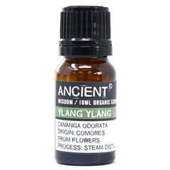 Ylang Ylang Organic Essential Oil 10ml product image 2