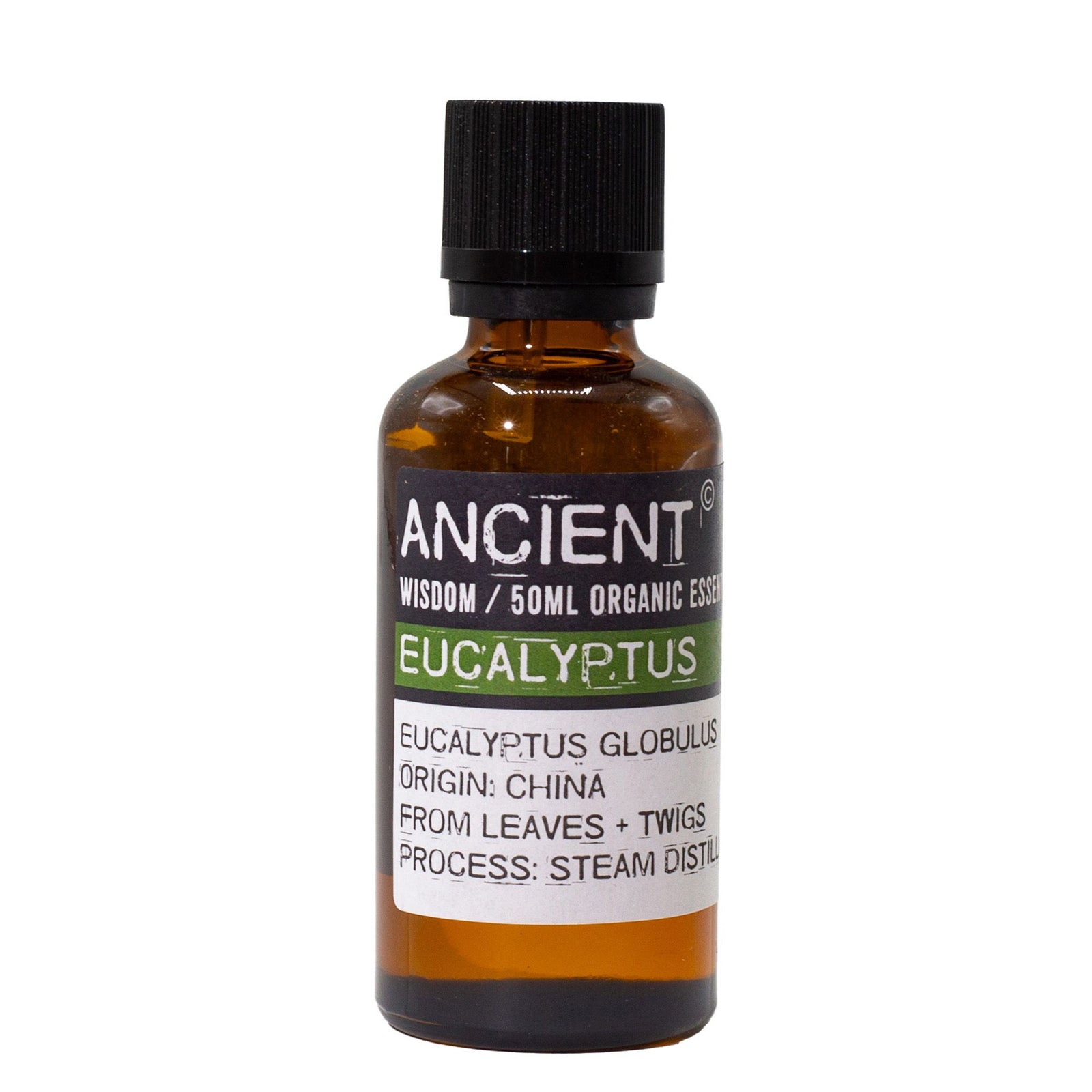 Eucalyptus Organic Essential Oil 50ml product image