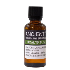 Eucalyptus Organic Essential Oil 50ml product image