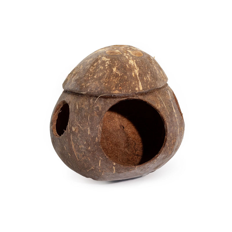 Natural Coconut Bird House - with hook - 13cm product image