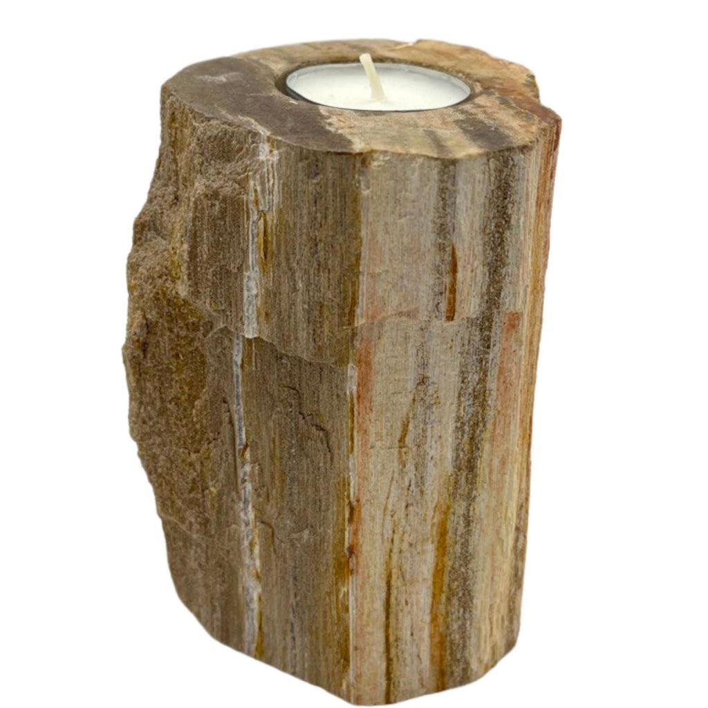 Petrified Wood Candle Holder - Single Tall product image 4