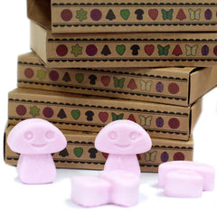 Box of 6 Wax Melts - Ylang Ylang product image 4