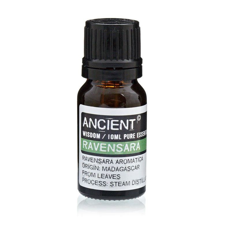 10 ml Ravensara Essential Oil product image
