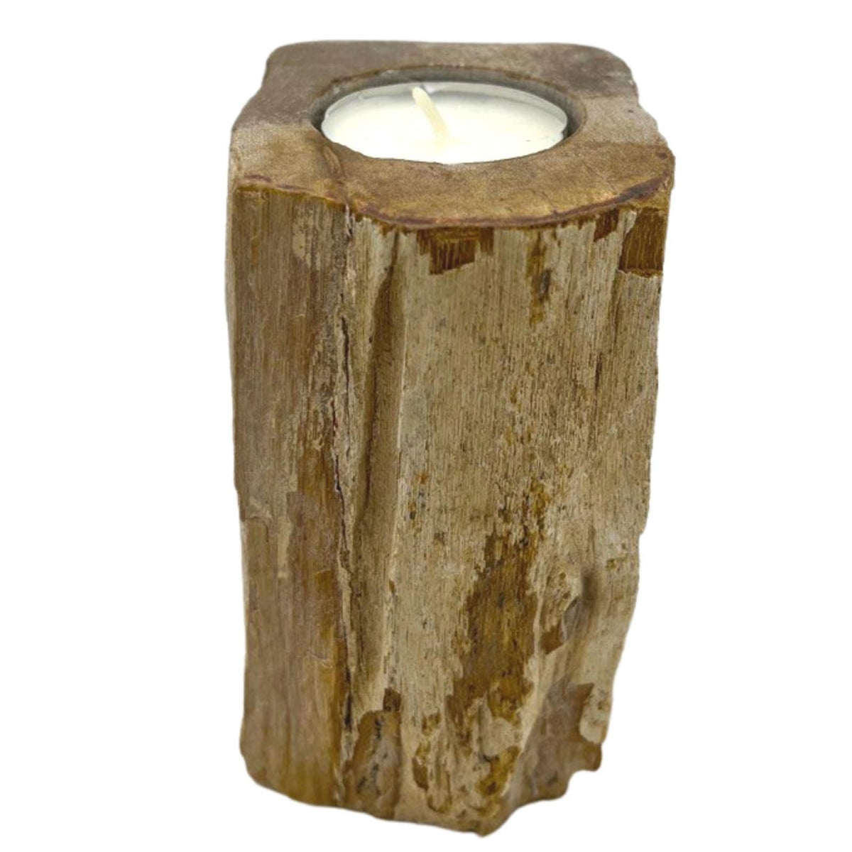 Petrified Wood Candle Holder - Single Tall product image 3