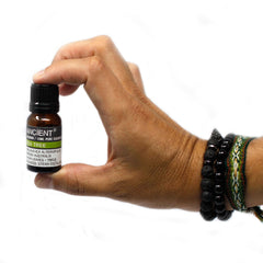 10 ml Spearmint Essential Oils product image 3
