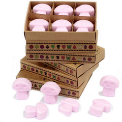 Box of 6 Wax Melts - Ylang Ylang product image
