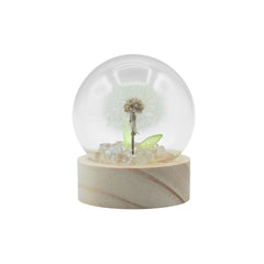Floral Glow Garden Dome - 1 Dandilion- LED Battery product image