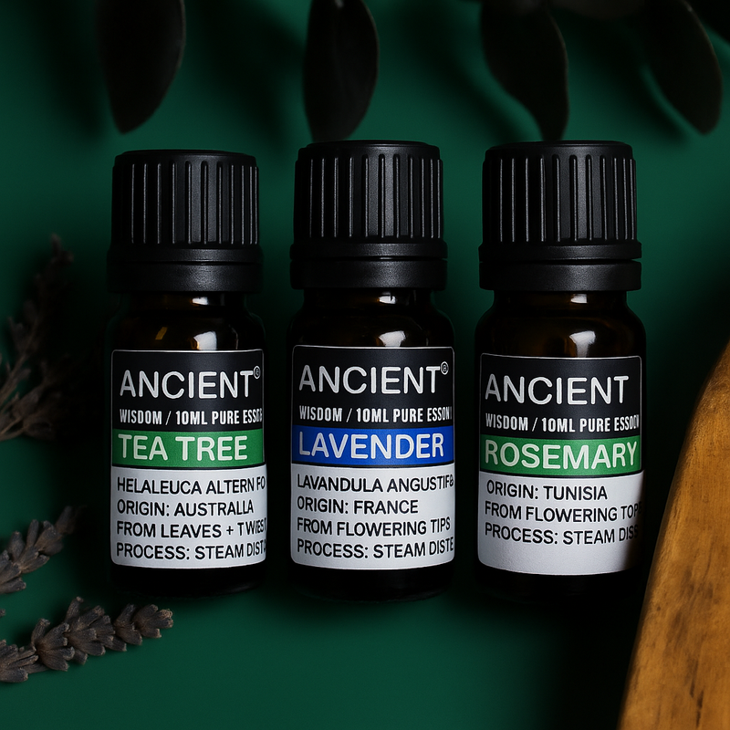 Set of Lavender, Tea Tree & Rosemary Essential Oils - 10ml Each product image