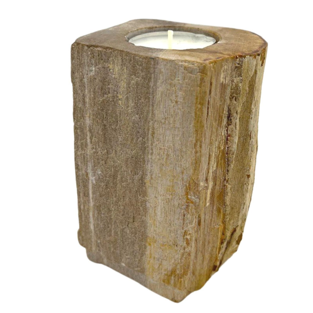 Petrified Wood Candle Holder - Single Tall product image 2