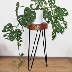 Albasia Wood Plant Stand - Whitewash product image 2