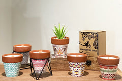 Agnes + Cat Herb Garden Candles - Rosemary product image 8