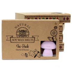Box of 6 Wax Melts - Ylang Ylang product image 3