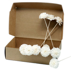 Natural Diffuser Flowers - Carnation on Reed product image 6