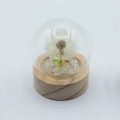 Floral Glow Garden Dome - 1 Dandilion- LED Battery product image 2