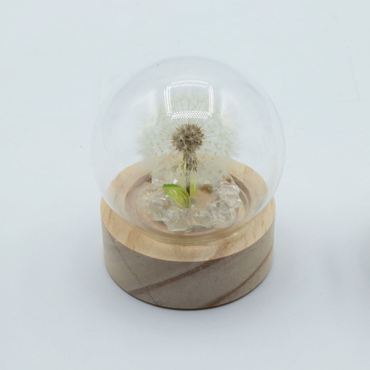 Floral Glow Garden Dome - 1 Dandilion- LED Battery product image 2