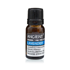 Set of Lavender, Tea Tree & Rosemary Essential Oils - 10ml Each product image 2