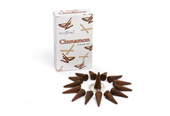 Cinnamon Cones product image