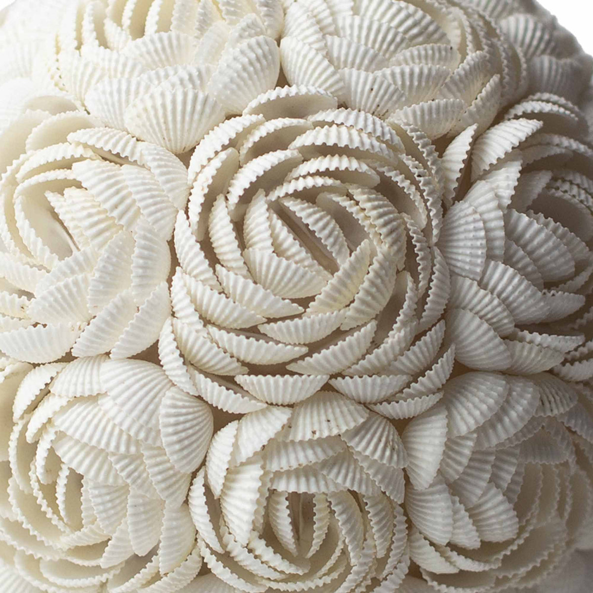 Boho Sea Shell Lamp - Rose Globe - 20cm product image 2