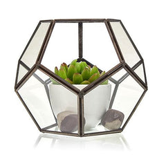 Glass Terrarium - Large Octagon product image 3