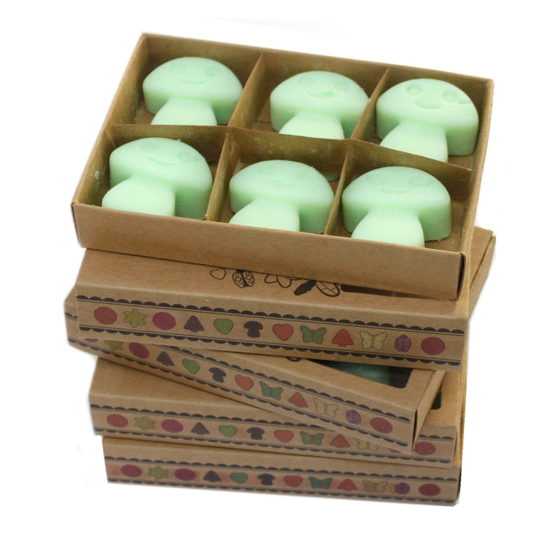 Box of 6 Wax Melts - Liquorice product image